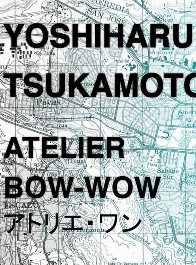 Prosthesis and poem 06 picture